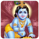 Bhaja Govindam(offline) APK