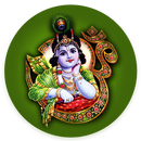 Krishna Stuti(offline) APK