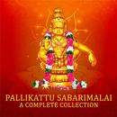 Pallikatu Sabarimalai Ayyapan songs(offline) APK