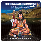 Shiva Sahasranamam(offline) icône