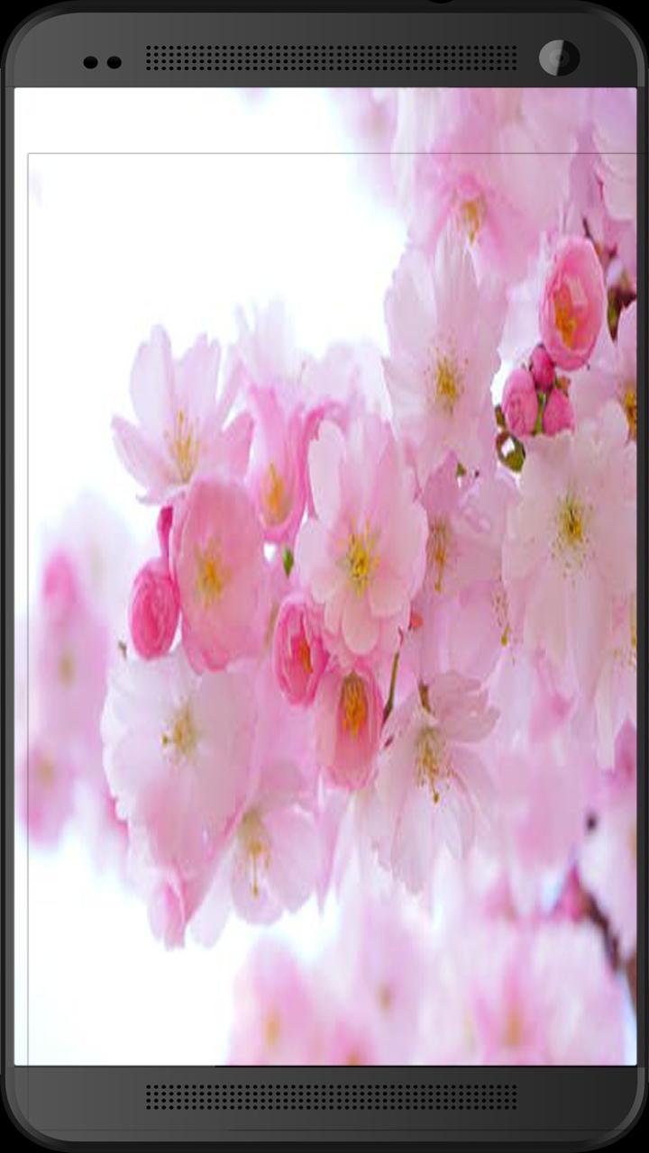 Download Girly Spring Wallpapers