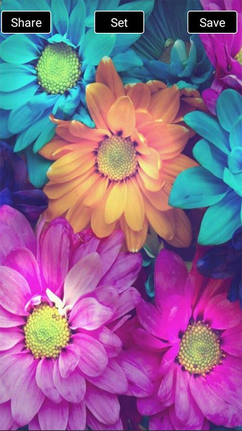 Girly wallpapers for whatsapp APK pour Android Télécharger Girly wallpapers for whatsapp APK pour Android Télécharger