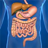 GIT & Hepatology News