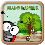 Brainy LadyBug