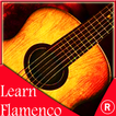 Learn *FLAMENCO* Guitar Videos