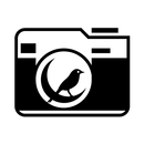 Mute Camera and Voice Recorder APK