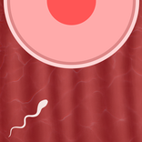 The Long Journey Of Sperm