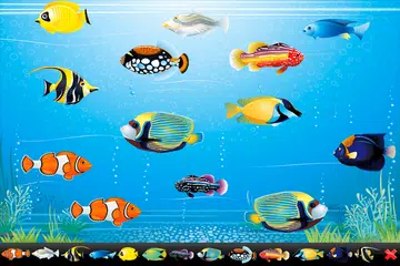 Aquarium Maker アプリダウンロード