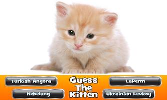 Guess The Kitten capture d'écran 1