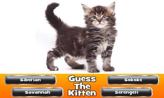 Guess The Kitten 截图 2