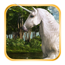 Hidden Object Magical Places APK