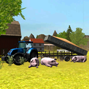 Farming 3D: Feeding Pigs APK