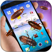 Cockroach in Phone Prank