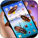 Cockroach in Phone Prank APK