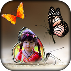 Colorful Butterfly Photo Frames-icoon