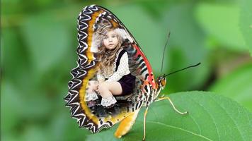 Colorful Butterfly Photo Frames penulis hantaran