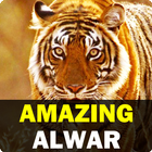 آیکون‌ Amazing Alwar