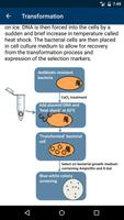 Molecular Methods স্ক্রিনশট 2