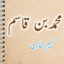 APK Muhammad Bin Qasim Urdu Novel by Naseem Hijazi