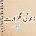 Zindagi Gulzar Hai Urdu Novel by Umera Ahmad icône