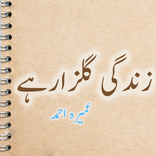 Zindagi Gulzar Hai Urdu Novel by Umera Ahmad