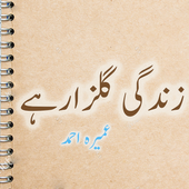 Zindagi Gulzar Hai Urdu Novel by Umera Ahmad icon