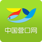 中国营口网 icon