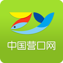 中国营口网 APK