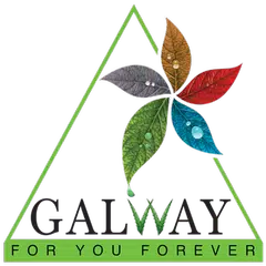 download Galway APK