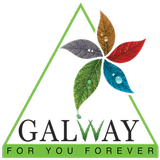 Galway Zeichen