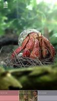 Brian Cox's Wonders of Life ảnh chụp màn hình 2
