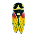 Cicada