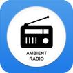 Ambient Radio Stations FM/AM