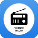 Ambient Radio Stations FM/AM APK