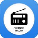 Ambient Radio Stations FM/AM APK