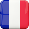 French Grammar APK