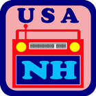 USA New Hampshire 아이콘