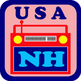 USA New Hampshire icône