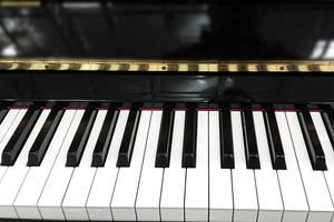 Real Piano скриншот 1