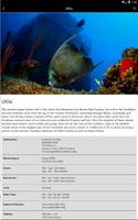 Honduras - Global Dive Guide poster