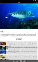 Honduras - Global Dive Guide screenshot 1