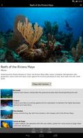 Mexico - Global Dive Guide capture d'écran 1