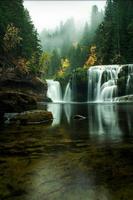 Wallpaper Nature screenshot 1