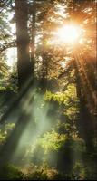 Wallpaper Nature screenshot 2