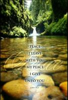 Bible Daily Verses screenshot 2