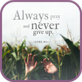 Bible Quotes