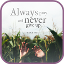 Bible Quotes APK