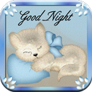Good Night Wishes APK