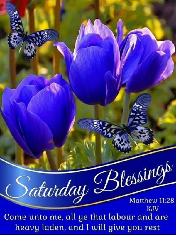 Happy Sabbath For Android Apk Download Happy Sabbath For Android Apk Download