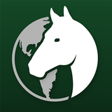 Global Stallions أيقونة
